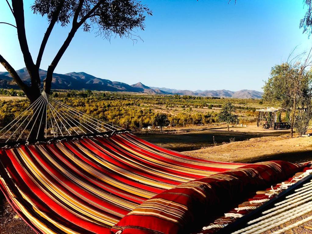Terra Monarca Vila Valle de Guadalupe Exterior foto